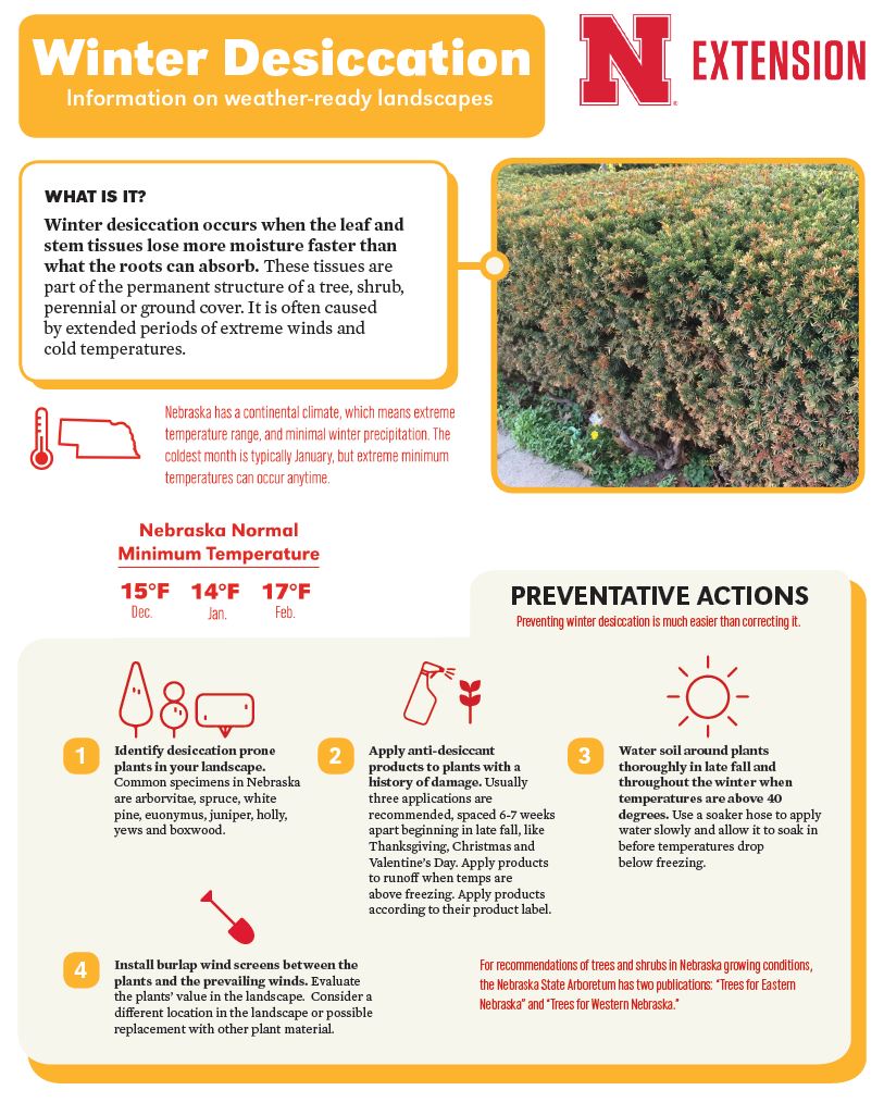 Winter Desiccation Infographic