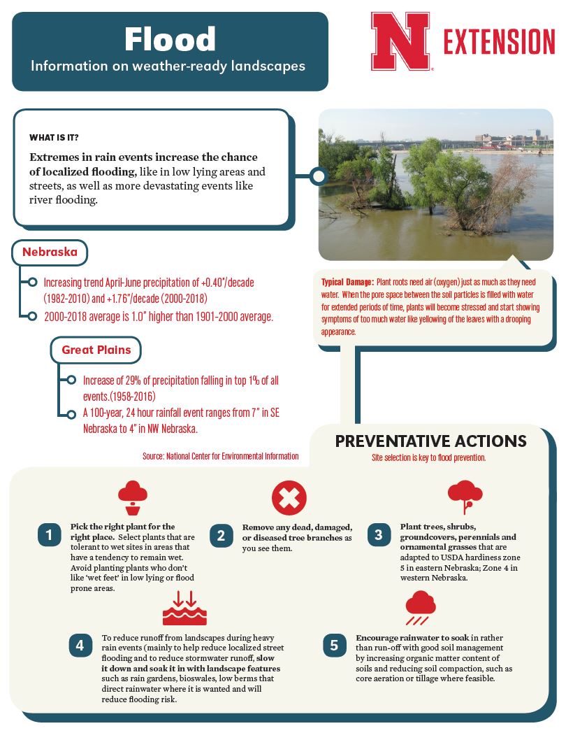 Flood Infographic
