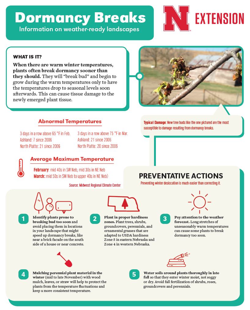 Dormancy Breaks Infographic