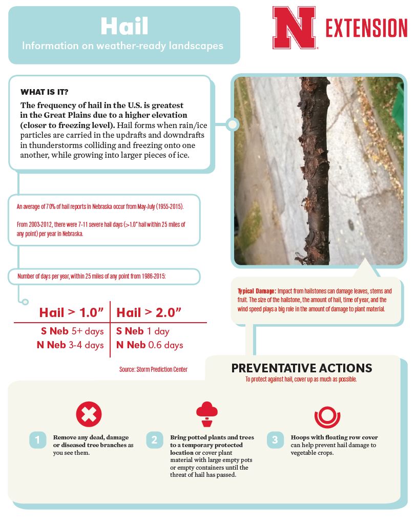 Hail Infographic