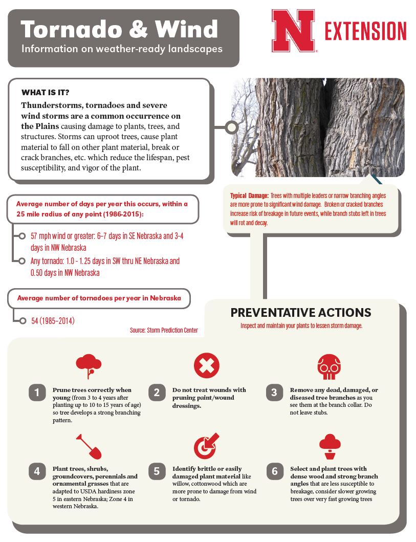 Tornado Wind Infographic